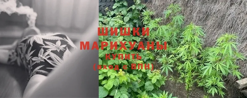 Бошки марихуана SATIVA & INDICA  Дивногорск 